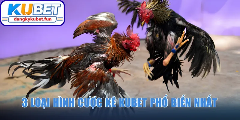 3 loại hình cược kê Kubet phổ biến nhất