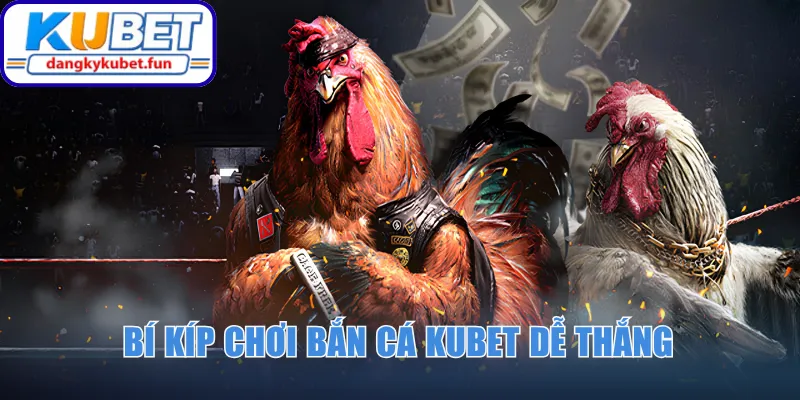 4 bước tham gia sảnh đá gà nhà cái Kubet